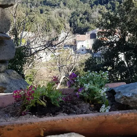 A Stella, De Berger Pour Experience Insolite Camping Santa-Lucia-di-Mercurio